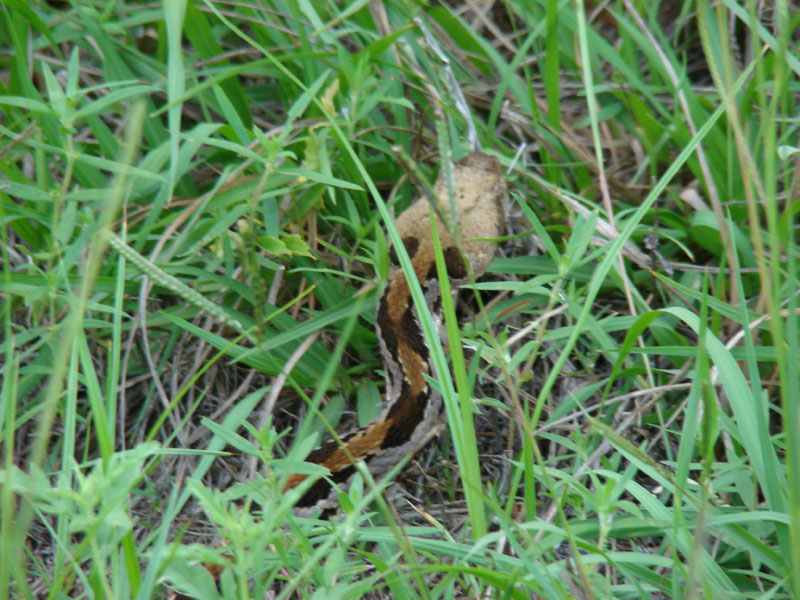 DSC00208