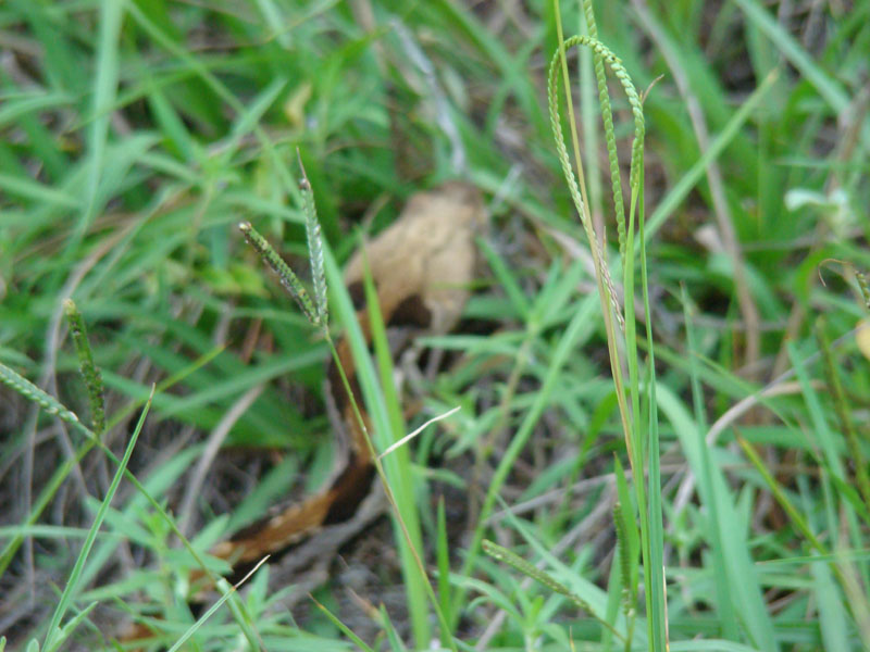 DSC00209