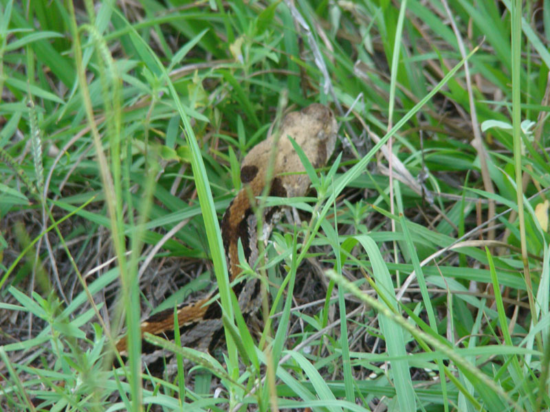 DSC00211