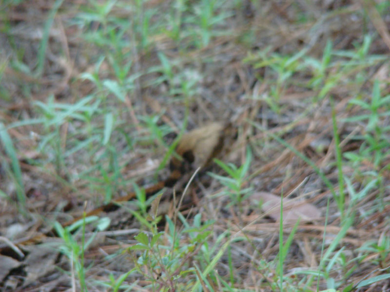DSC00213