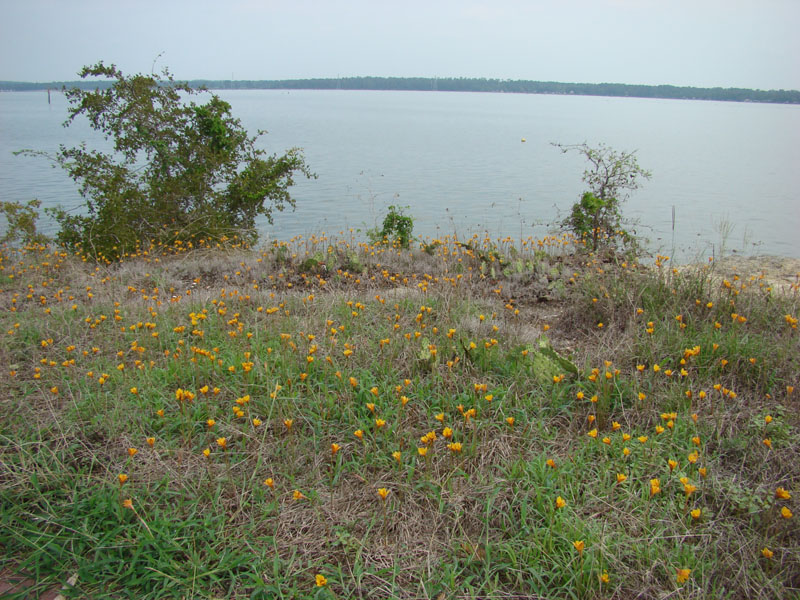 DSC00240