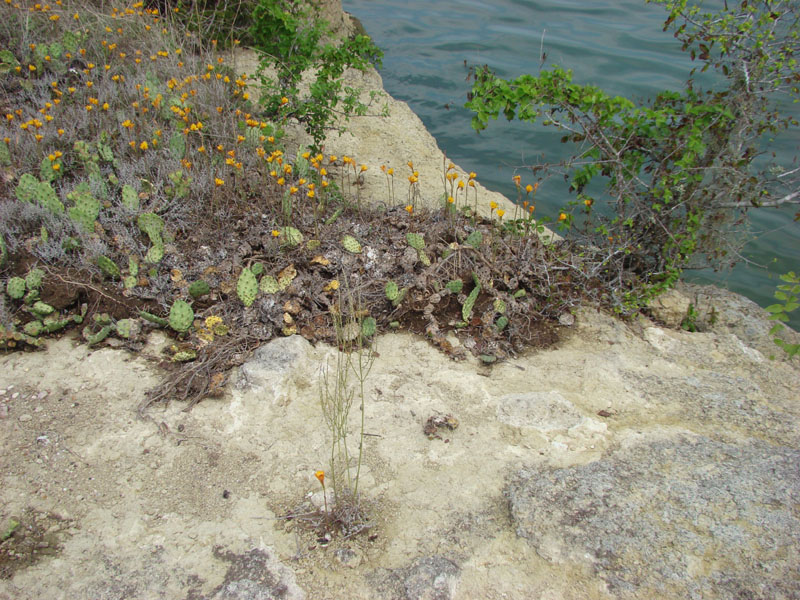 DSC00250
