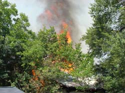 DSC00090
