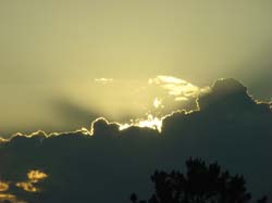 DSC00116