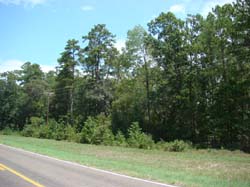 DSC00136