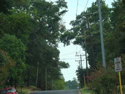 DSC00179