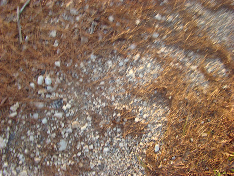 DSC08021