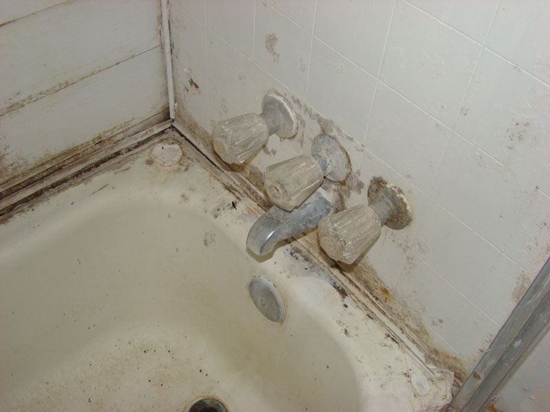 DSC07466