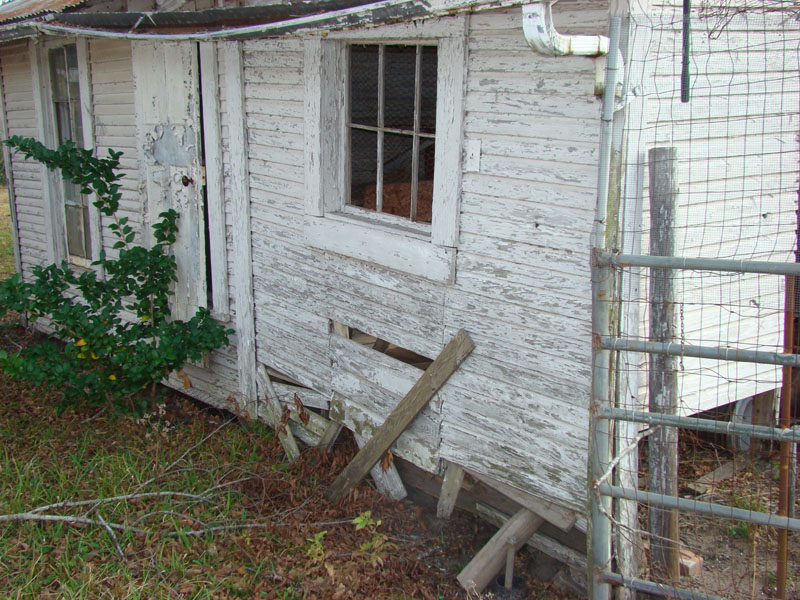 DSC07482