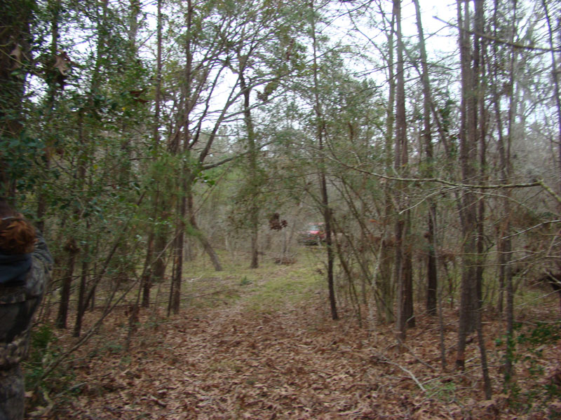 DSC07525