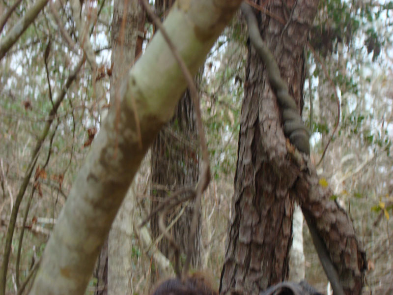 DSC07558