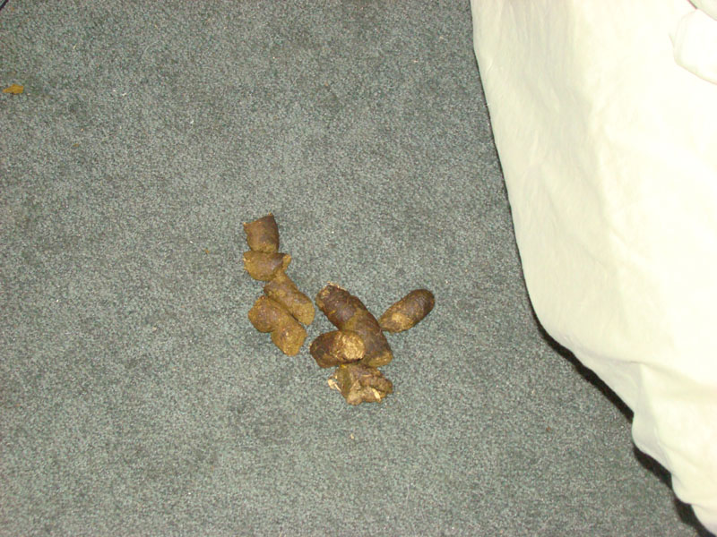 DSC07691