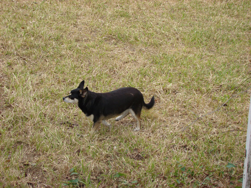 DSC07705