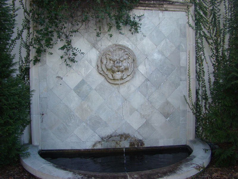 DSC07750