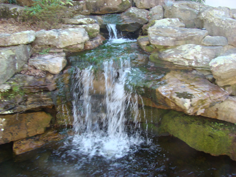 DSC07751