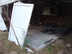 DSC07478