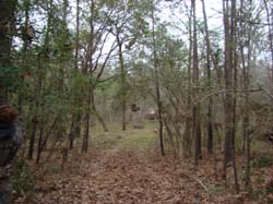 DSC07525