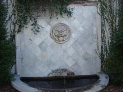 DSC07750