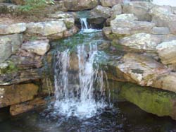 DSC07751