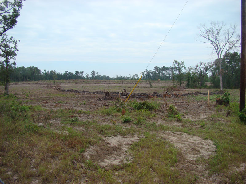 DSC09644