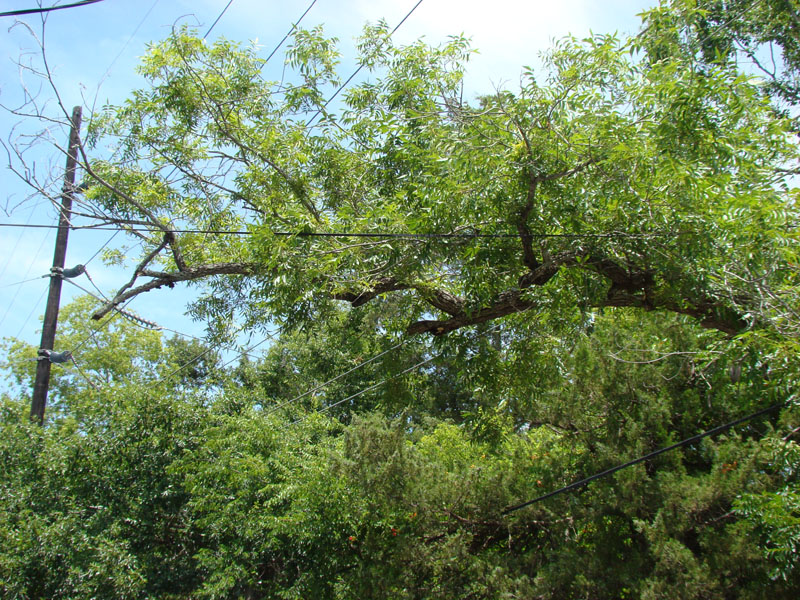 DSC09663