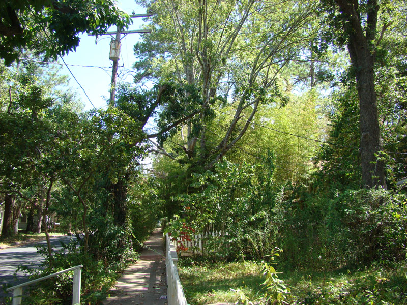 DSC09687