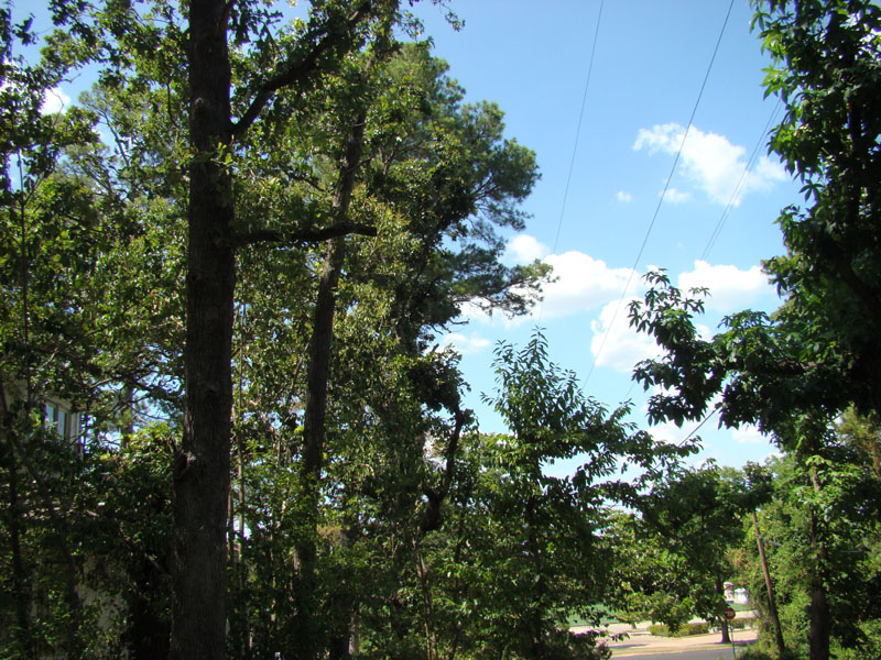 DSC09692