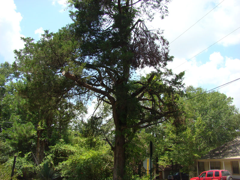 DSC09738