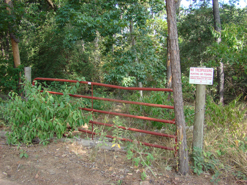 DSC09741