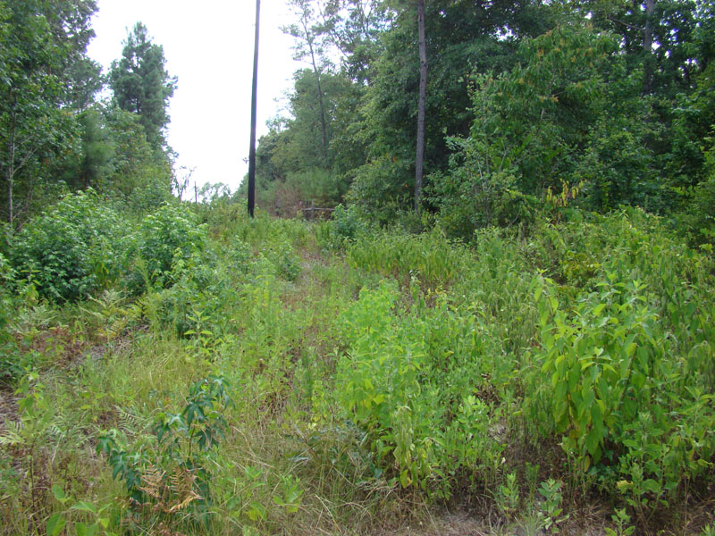 DSC09748