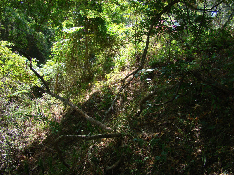 DSC09754