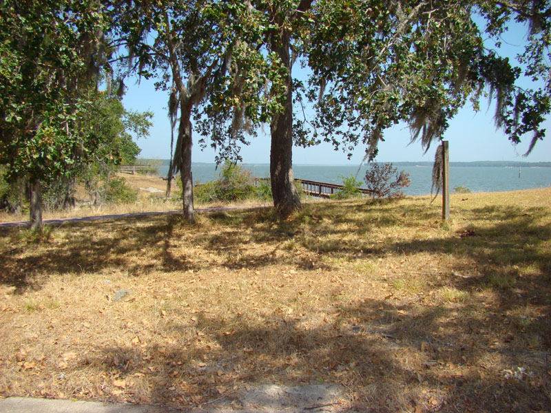 DSC09758