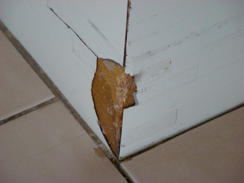 DSC09764