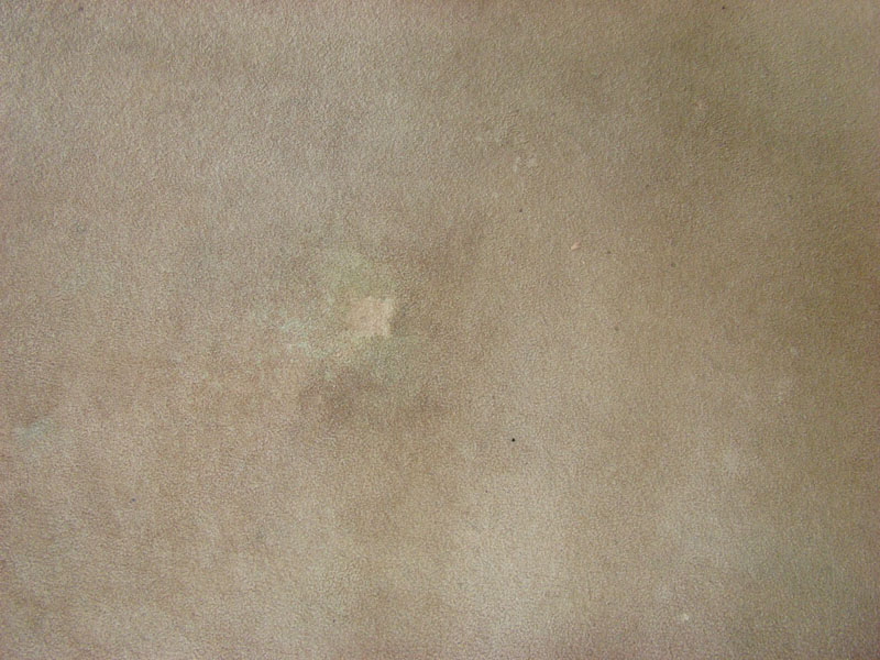 DSC09777