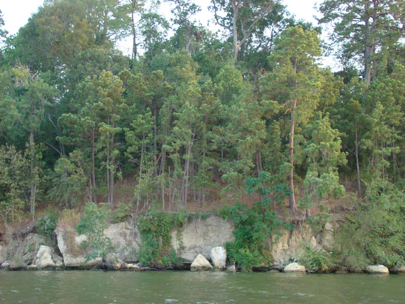 DSC09803