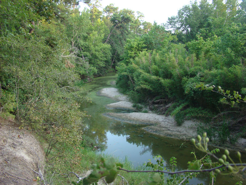 DSC09804