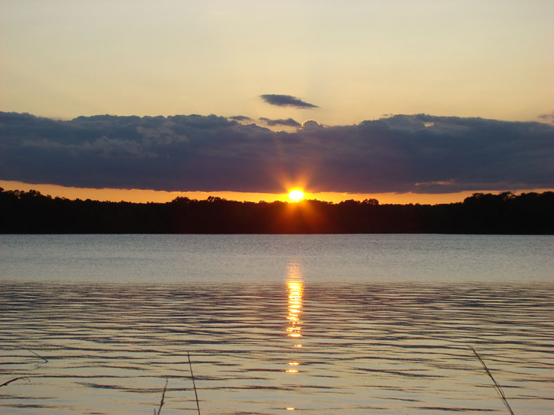DSC09806