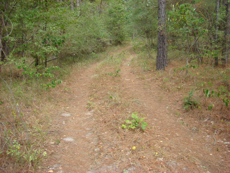 DSC09909