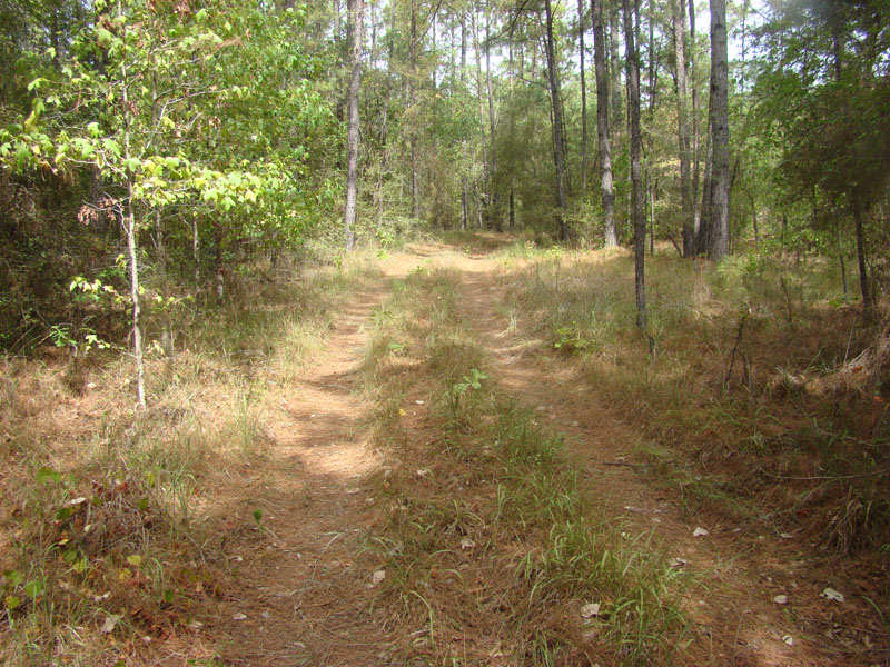 DSC09910