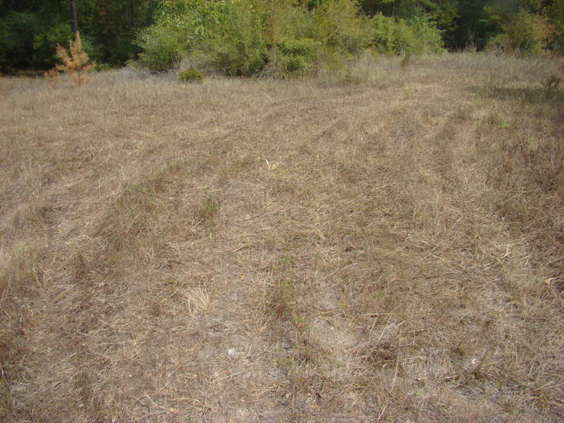 DSC09913