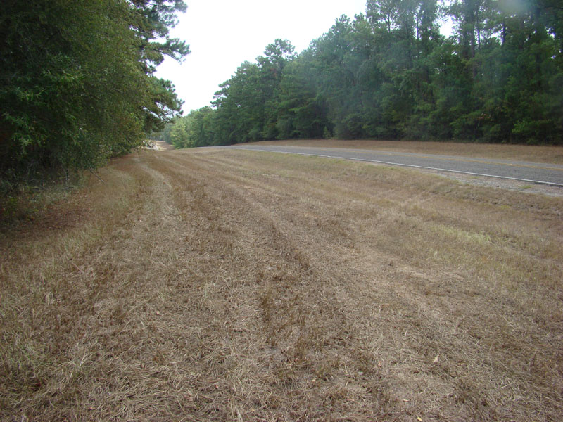 DSC09925