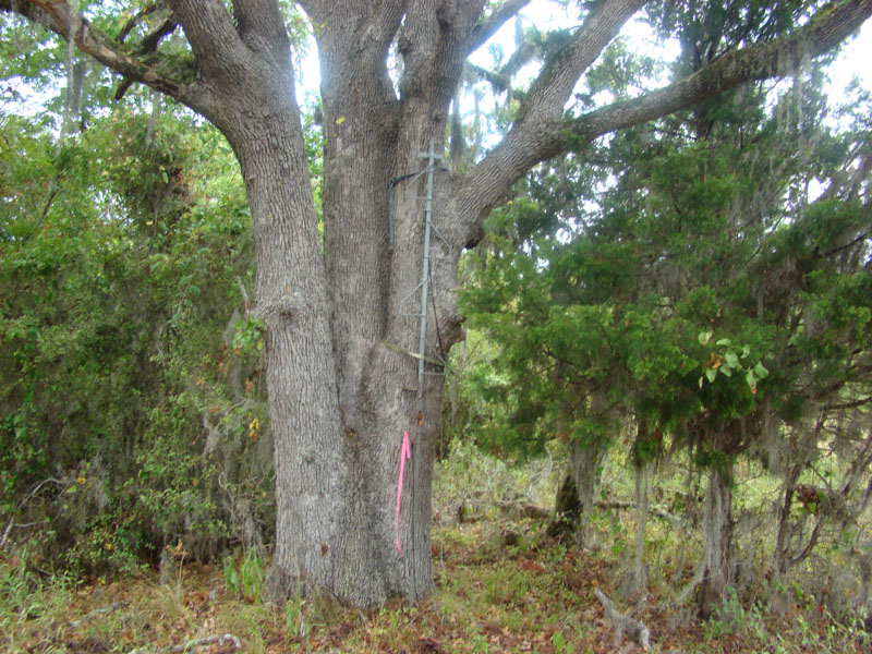 DSC09937