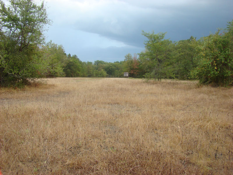 DSC09941