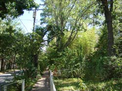 DSC09687