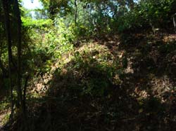 DSC09755