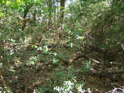 DSC09756