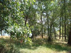 DSC09757