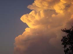 DSC09834
