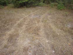 DSC09922
