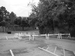 DSC09929